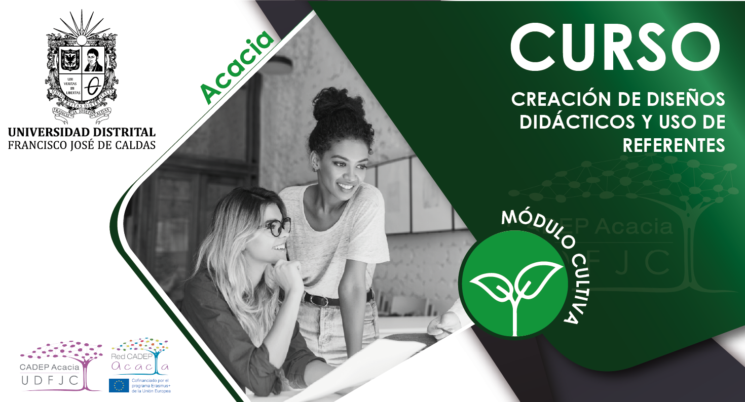 Curso diseños didácticos y uso de referentes AC007