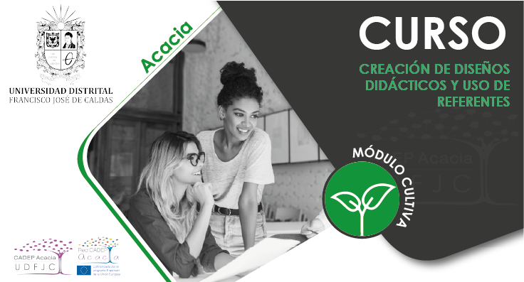Curso diseños didácticos y uso de referentes AC007