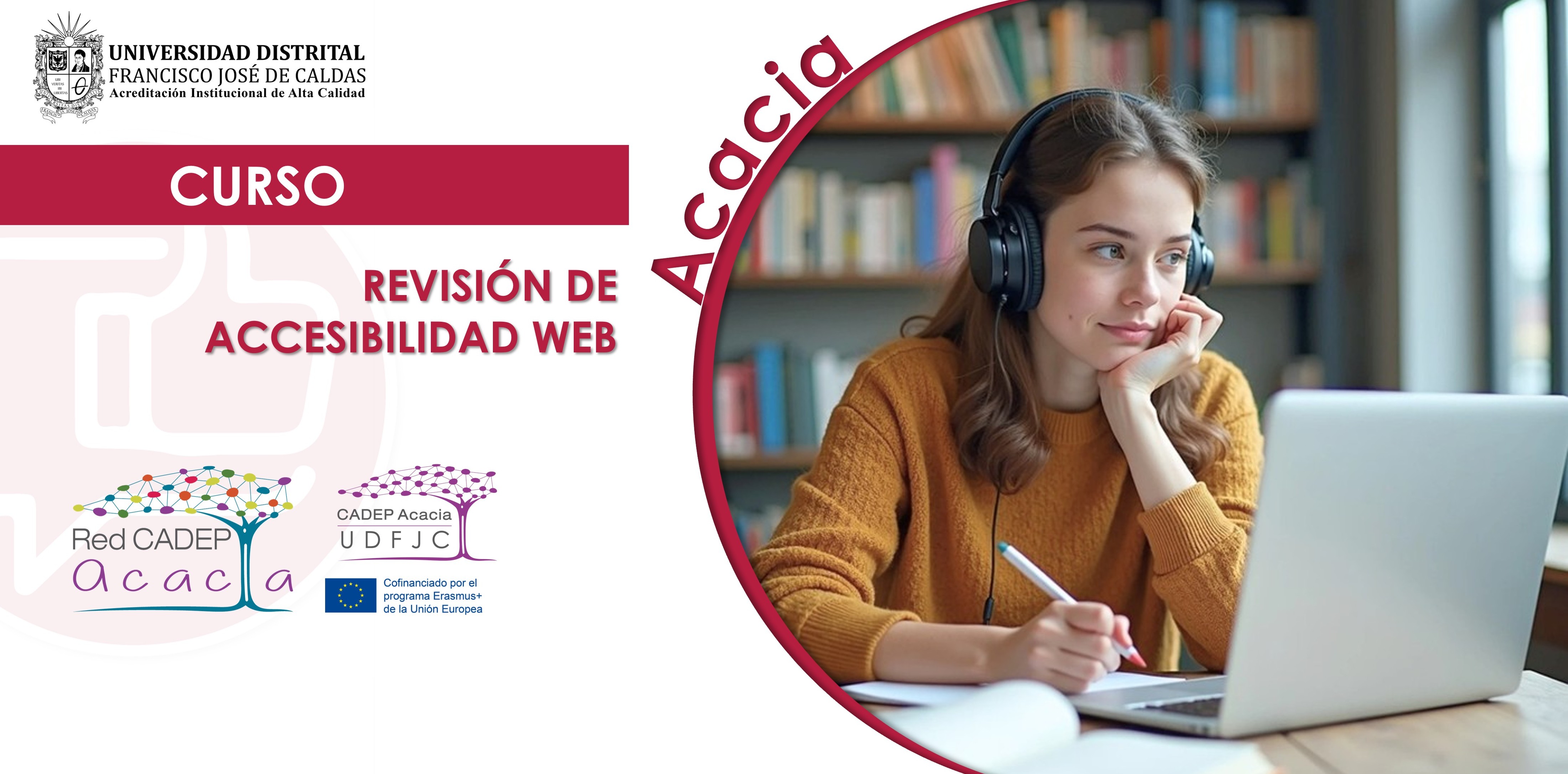 Revisión de Accesibilidad Web AC016