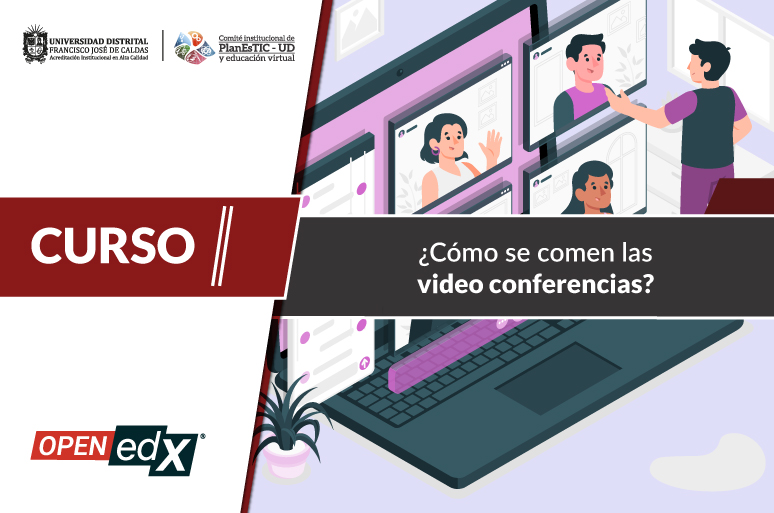 ¿Cómo se comen las video conferencias? P017H10